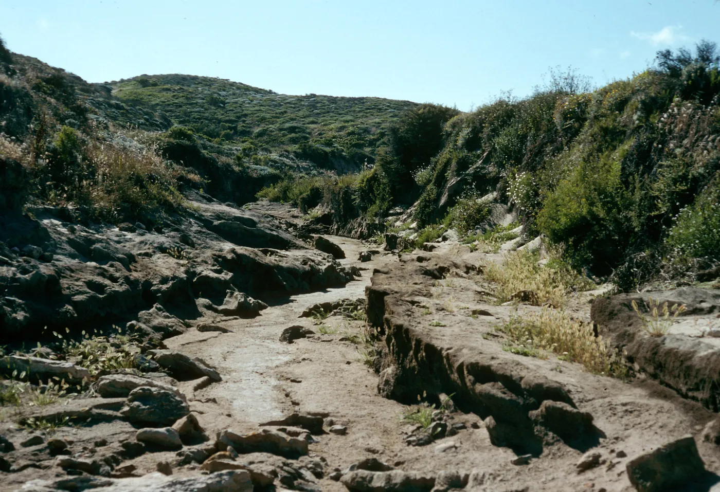 Willow Canyon, San Miguel Island