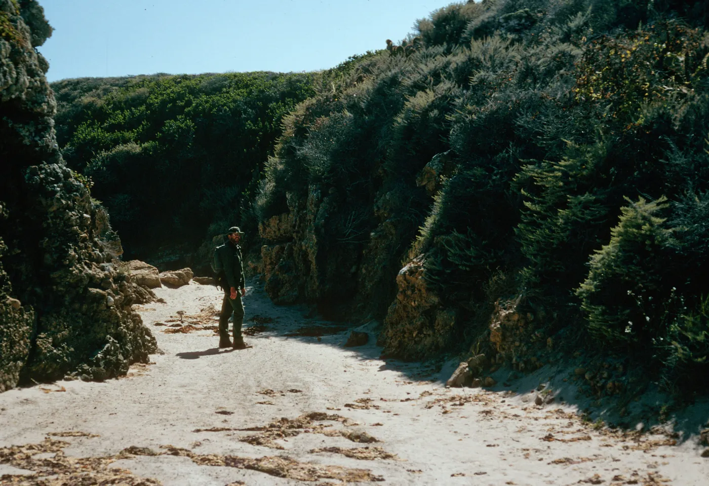 Lower Willows Canyon, San Miguel Island