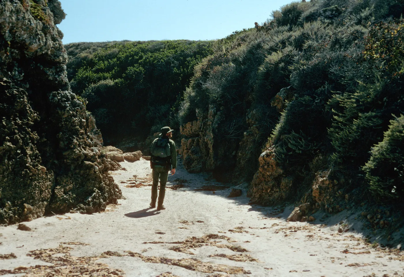 Lower Willows Canyon, San Miguel Island