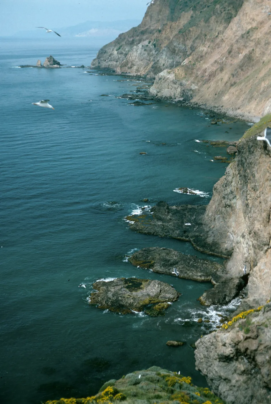 View of Cat Rock and South side, Middle Anacapa Island