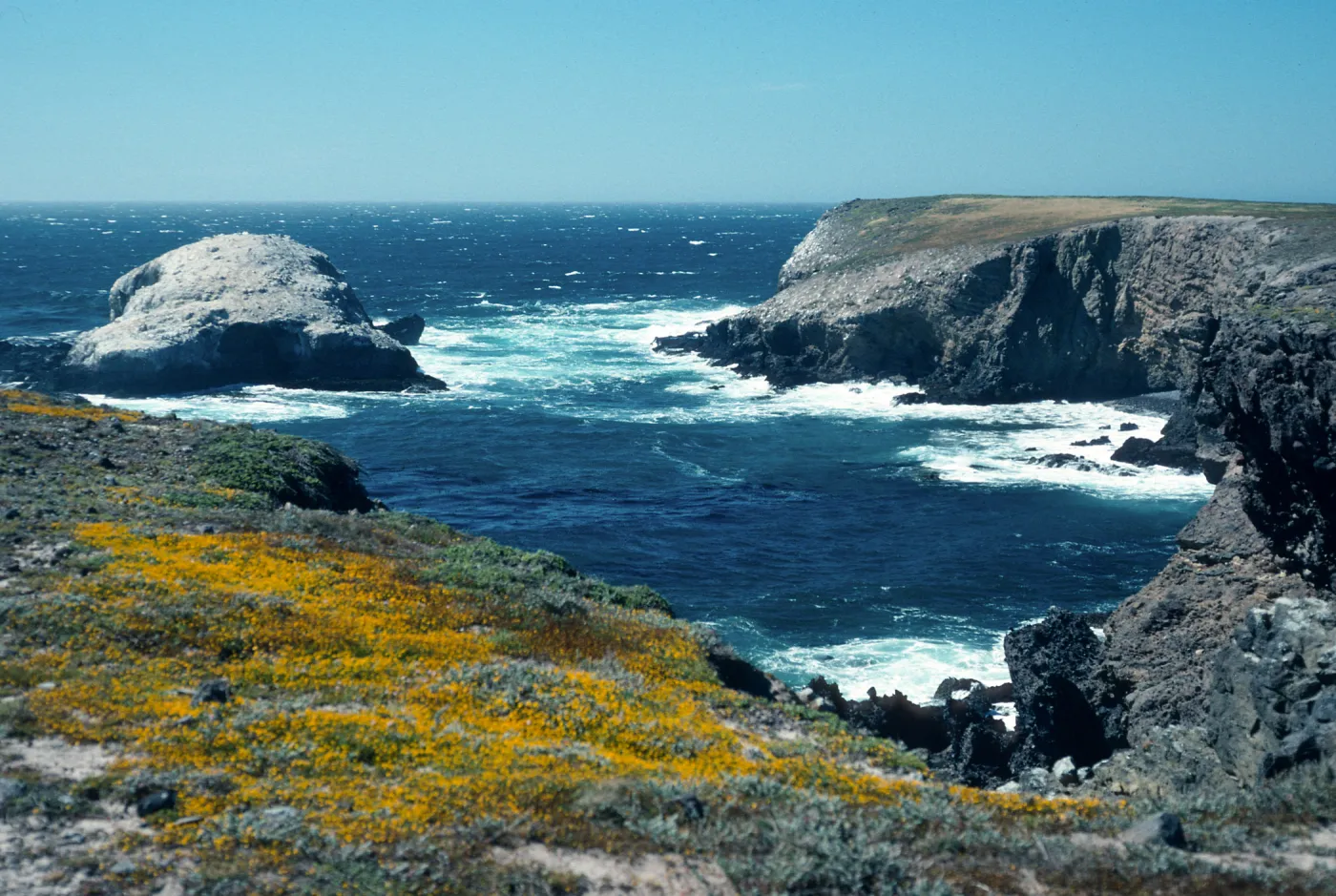 Fraser Point, Santa Cruz Island