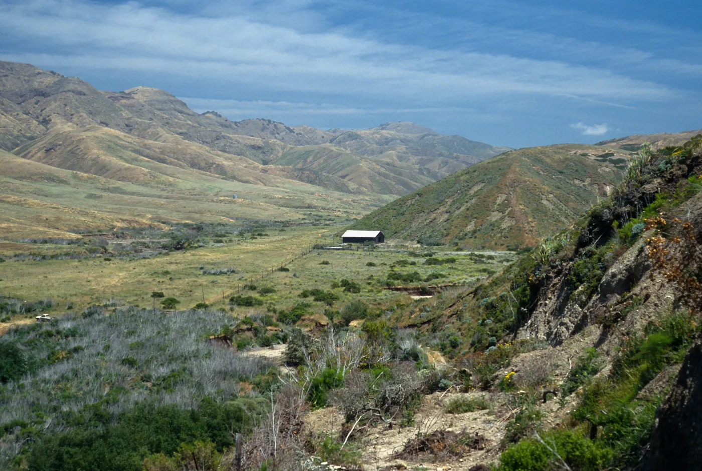 View of Christy Barn and inland road to Pozo, Santa Cruz Island