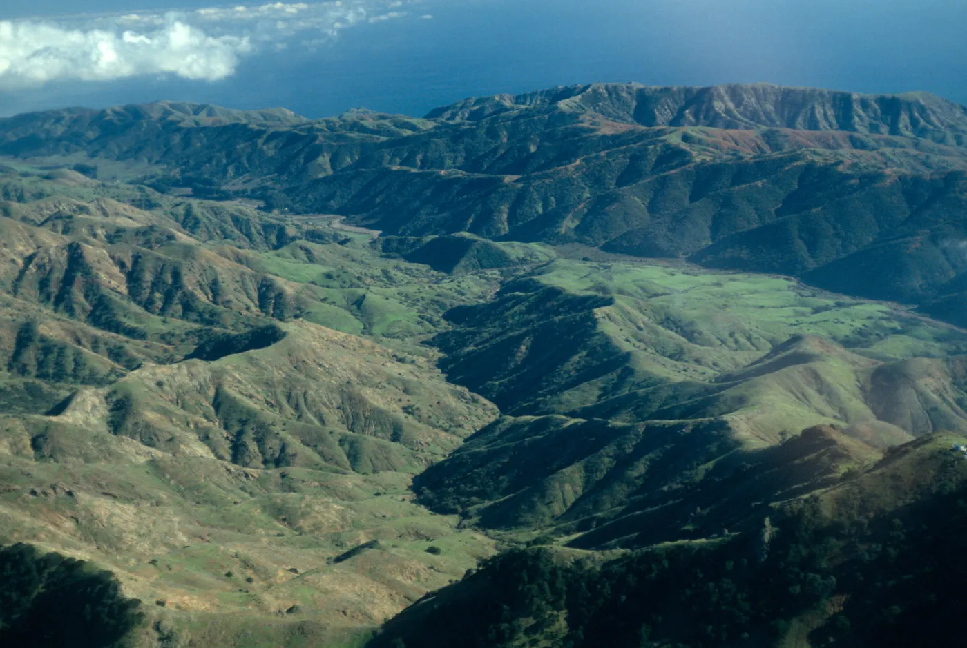 Central Valley, Santa Cruz Island