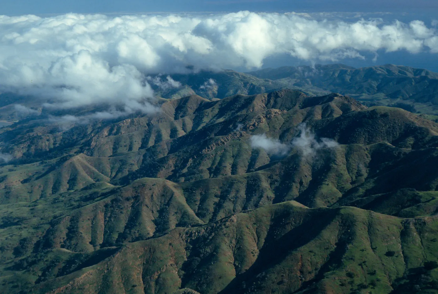 North Ridge west of Cañada del Puerto, Santa Cruz Island