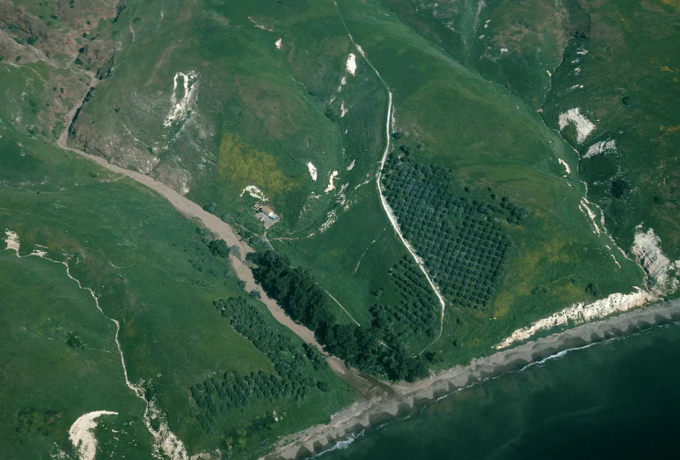 Smugglers’ Ranch, Santa Cruz Island