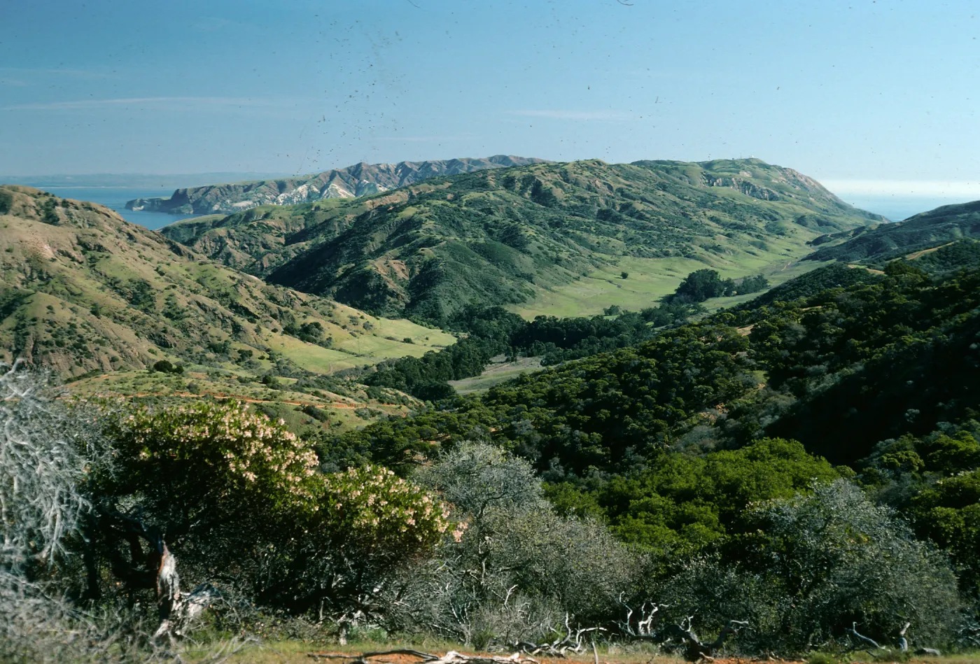 Central Valley, Santa Cruz Island