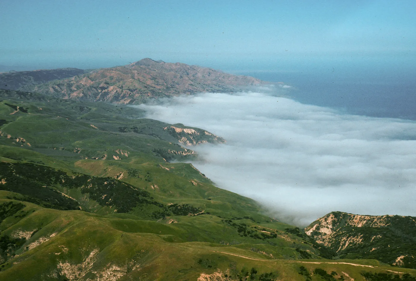 Fog at China Harbor, Santa Cruz Island