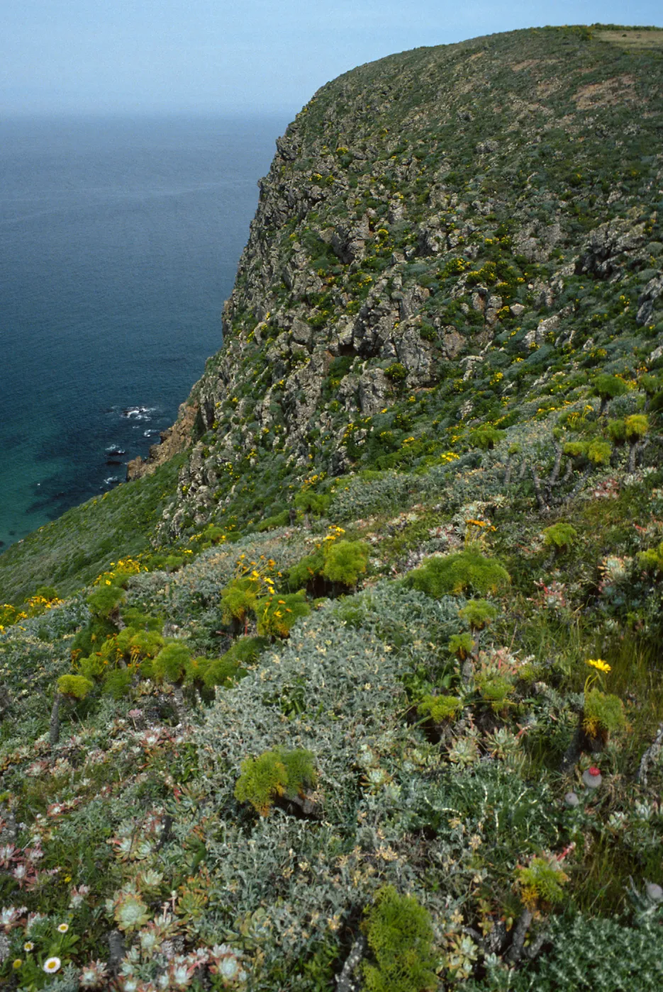 Hoffmann Point, San Miguel Island