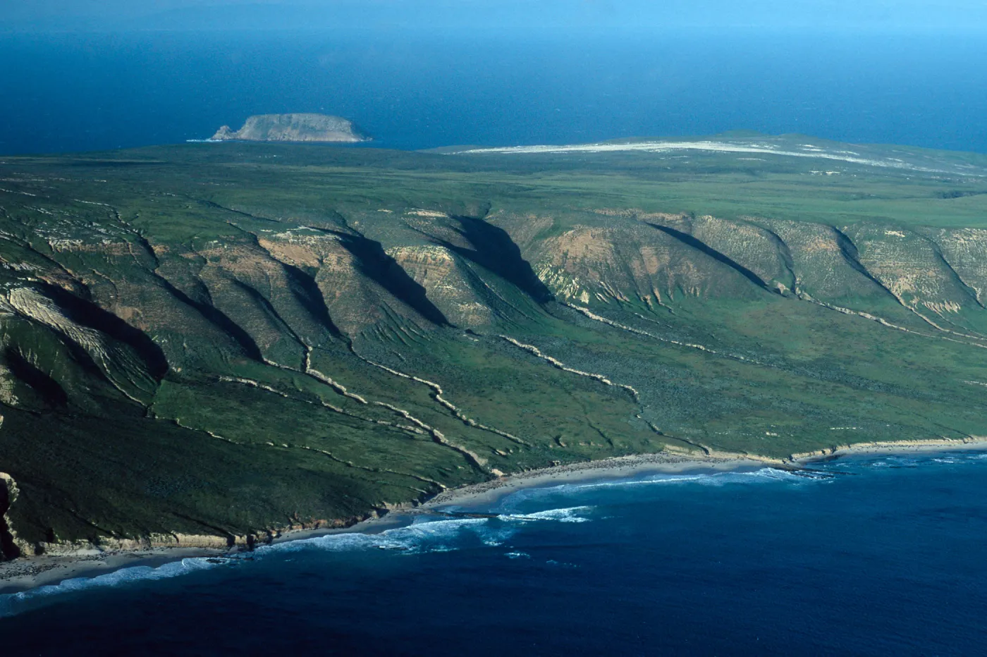 South side just east of Crook Point, San Miguel Island