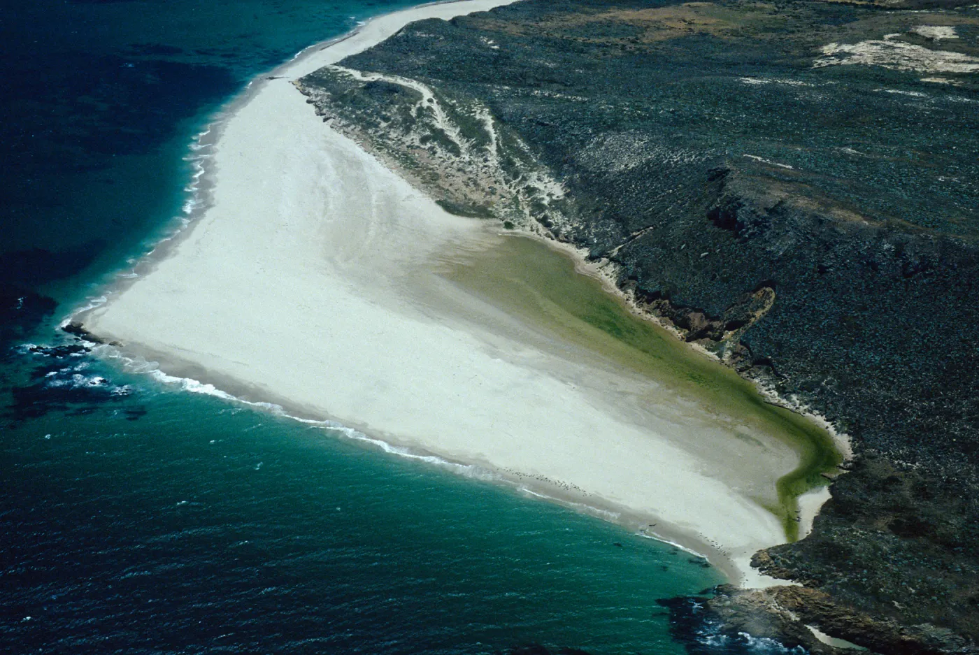 Cardwell Point, San Miguel Island