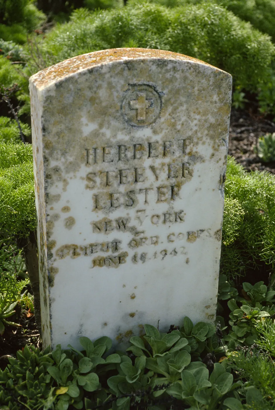 Herbert Lester Grave, San Miguel Island