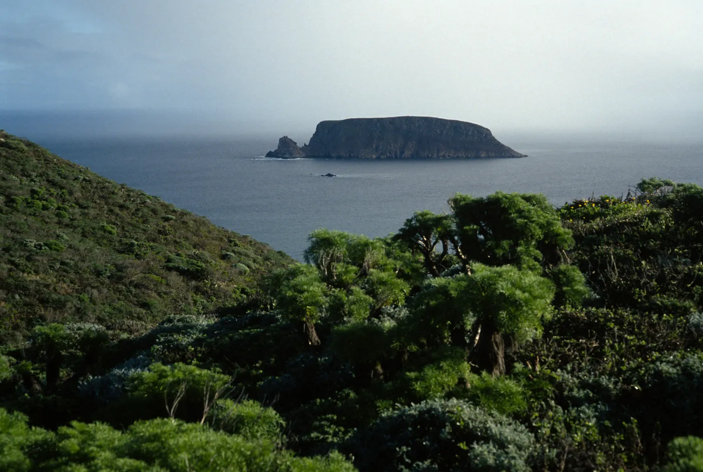 View of Prince Island, San Miguel Island