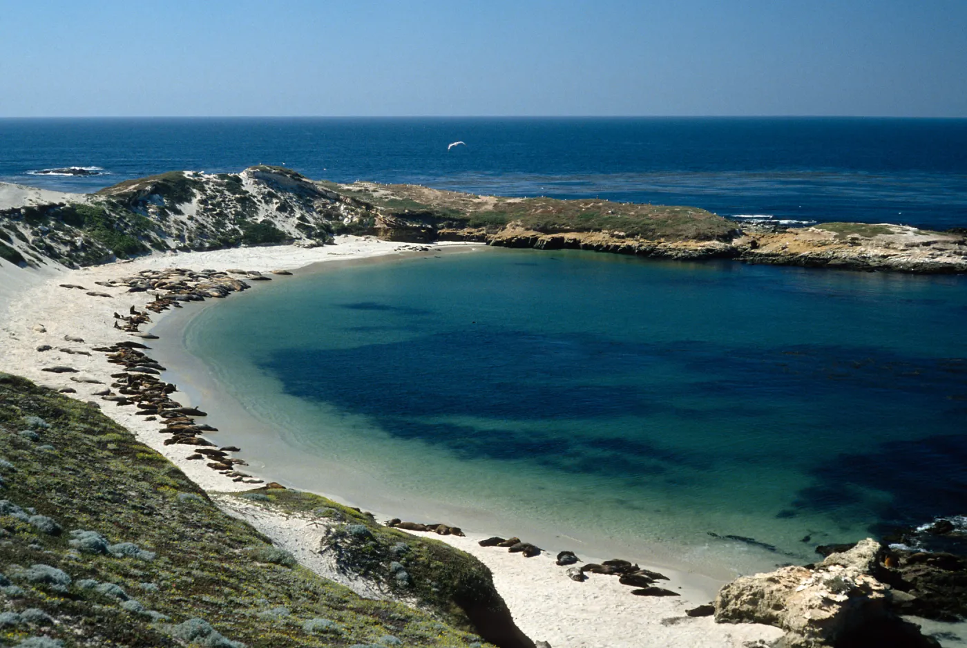 Otter Harbor, San Miguel Island