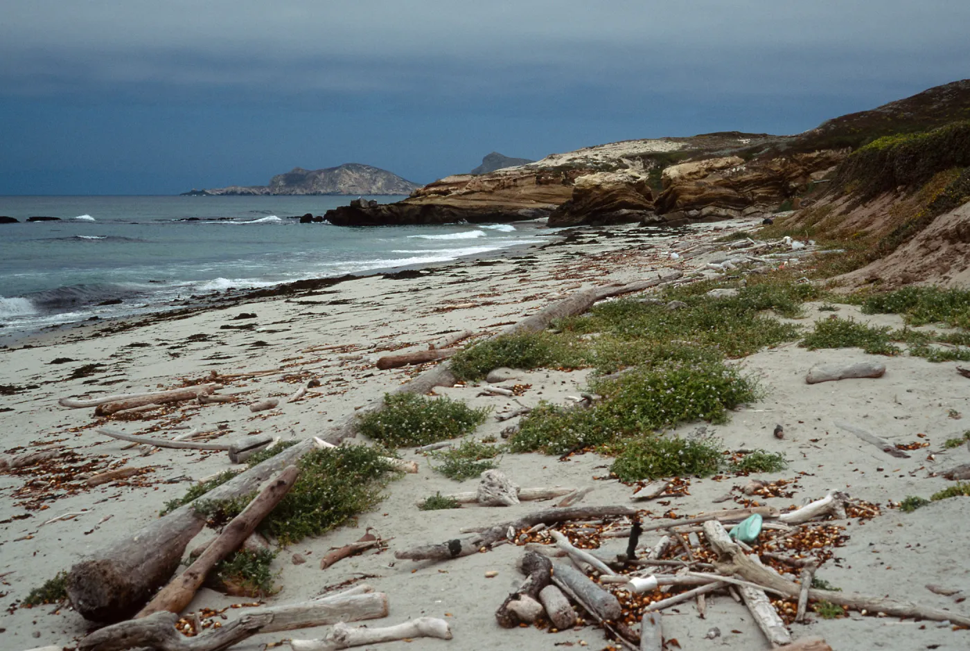 Range Marker Beach, Simonton Cove, San Miguel Island