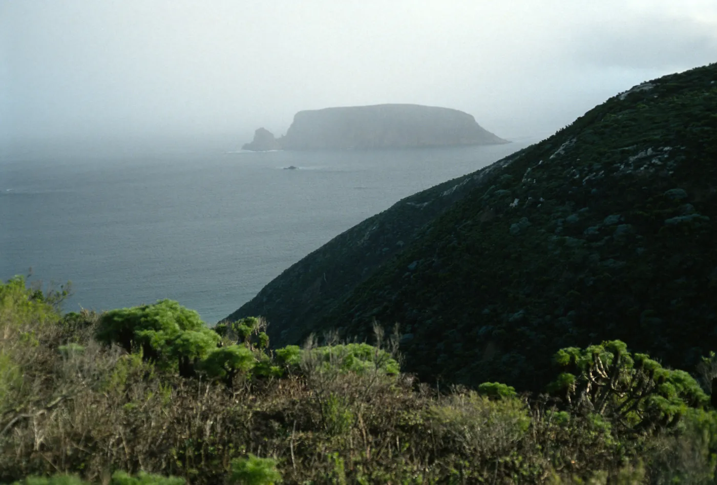 View of Prince Island, San Miguel Island