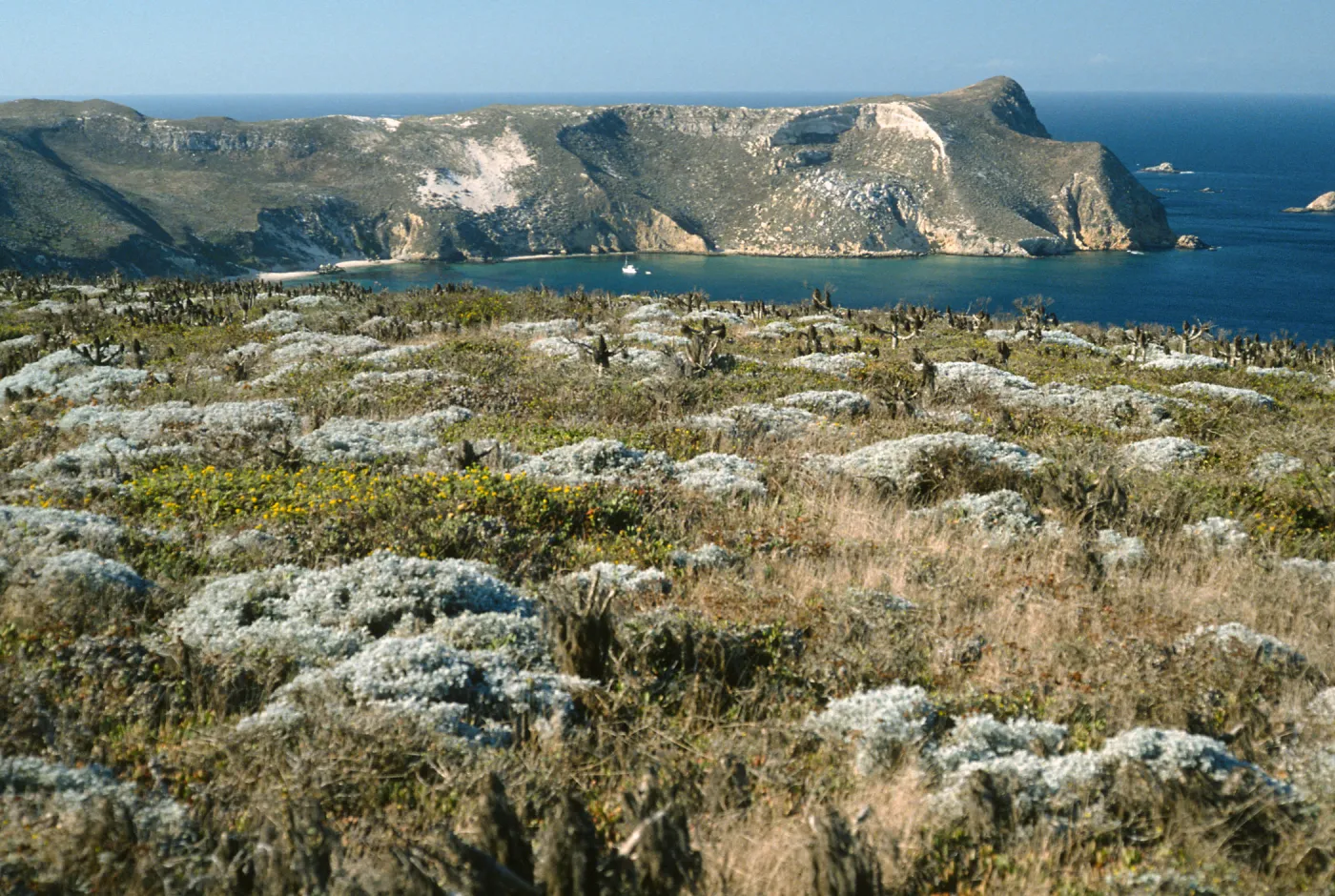 View of Cuyler Harbor, San Miguel Island