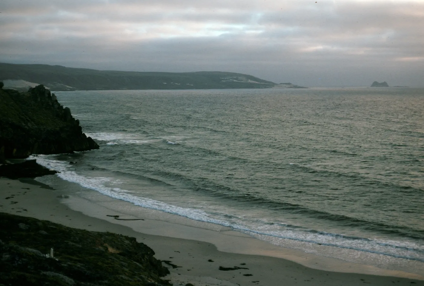 Secret Cove and Simonton Cove, San Miguel Island