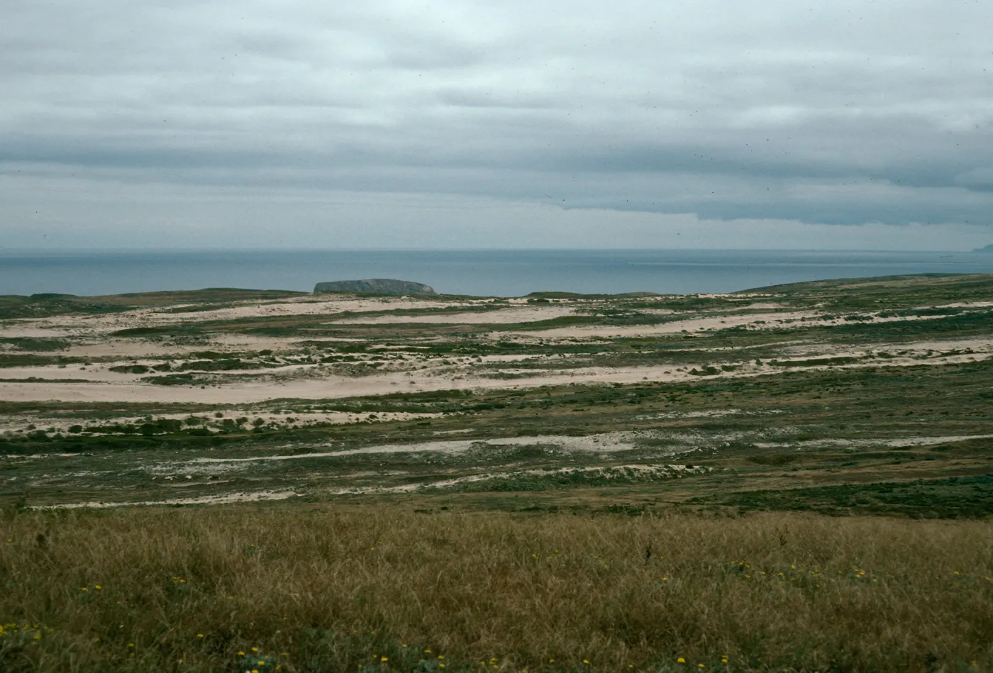 West end, San Miguel Island