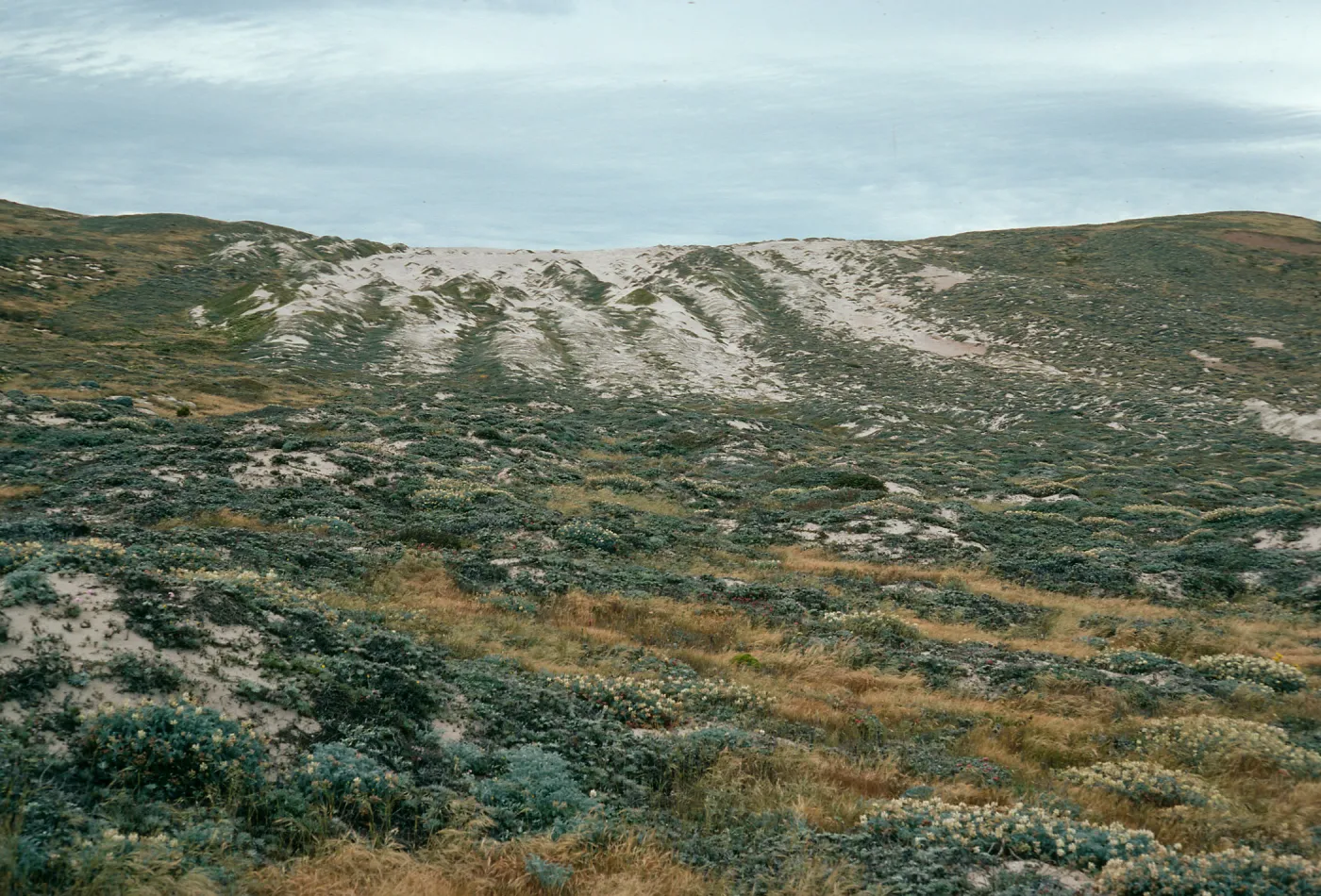 Sand stripes just northwest of mouth of Willow Canyon looking north, San Miguel Island