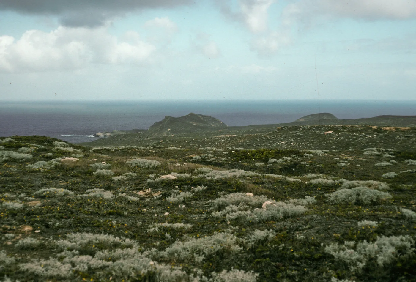 Harris Point Peninsula, San Miguel Island