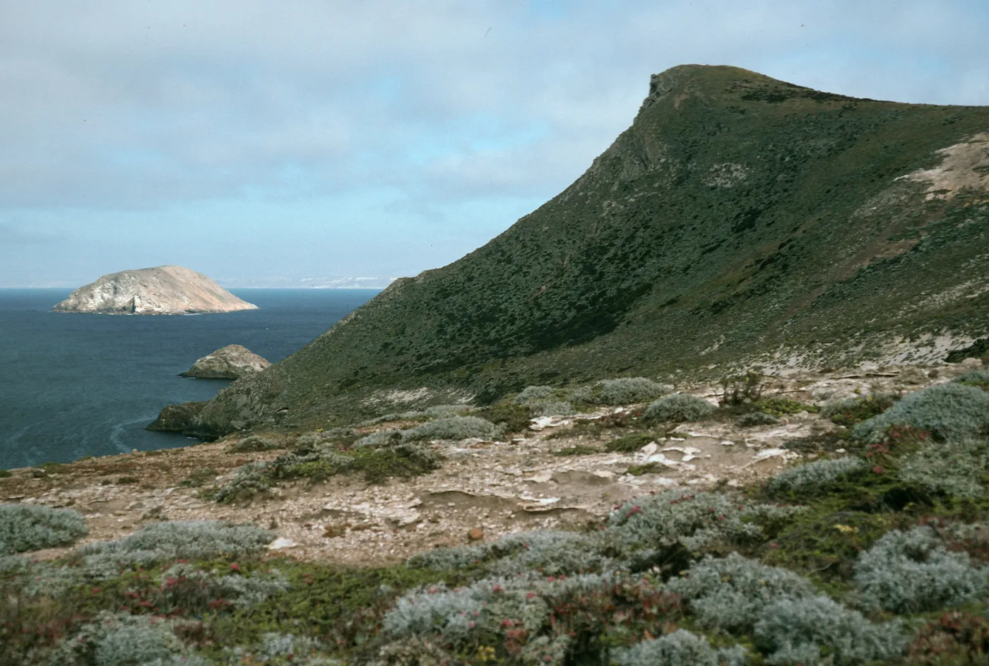 Harris Point, View of Prince Island, San Miguel Island