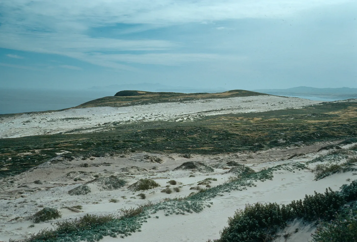 Sand Stripes above East Cuyler Harbor, San Miguel Island