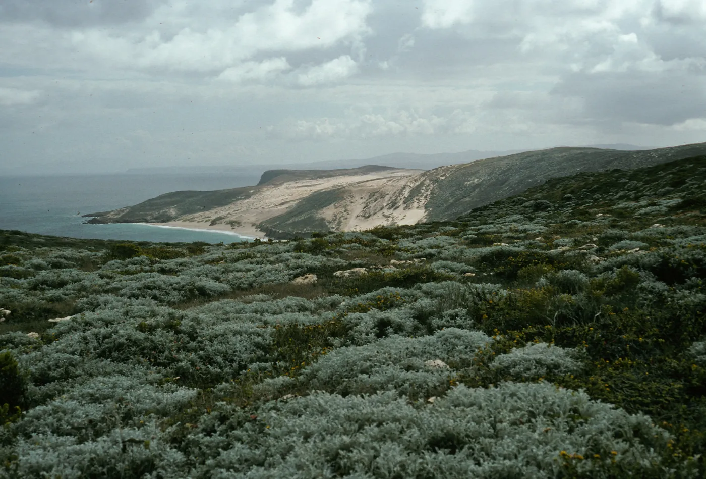 View of Cuyler Harbor from Harris Point Peninsula, San Miguel Island