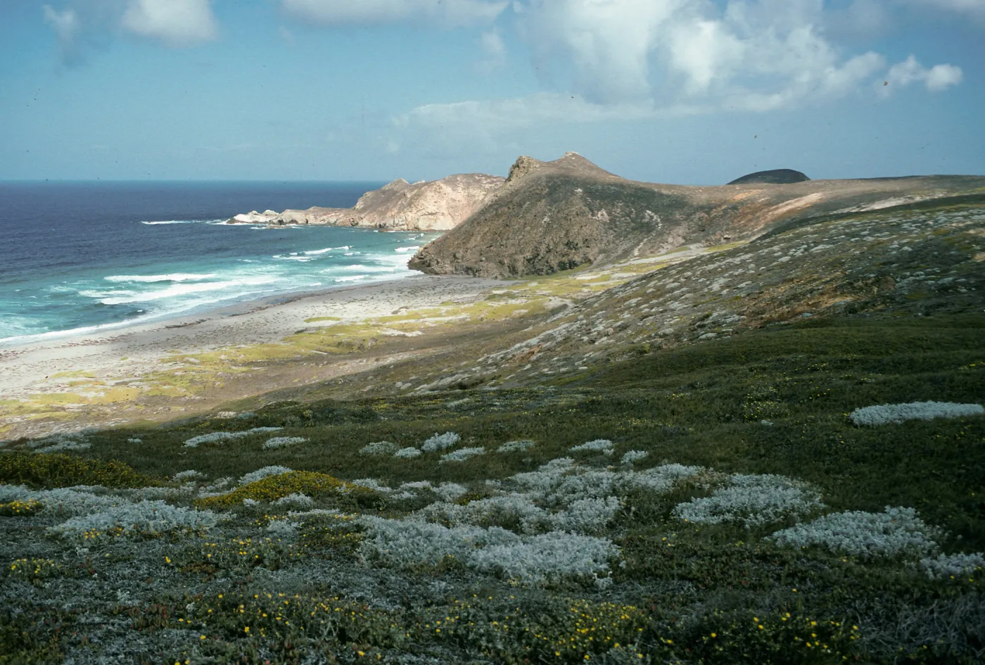 View of Harris Point and Lester Point, San Miguel Island