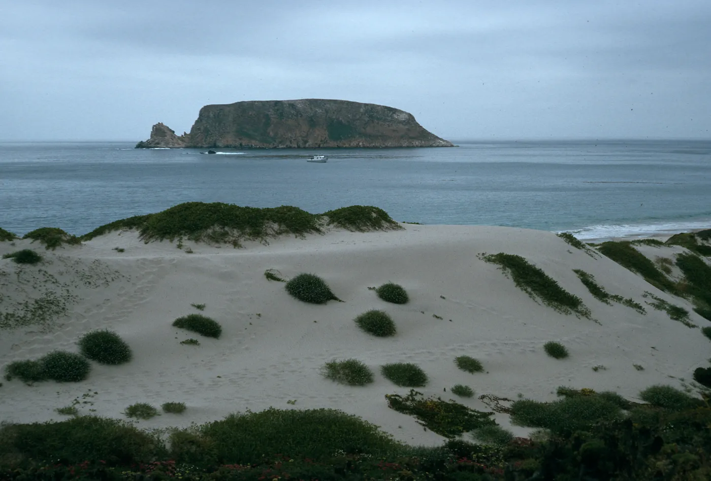 Price Island, Cuyler Harbor, San Miguel Island