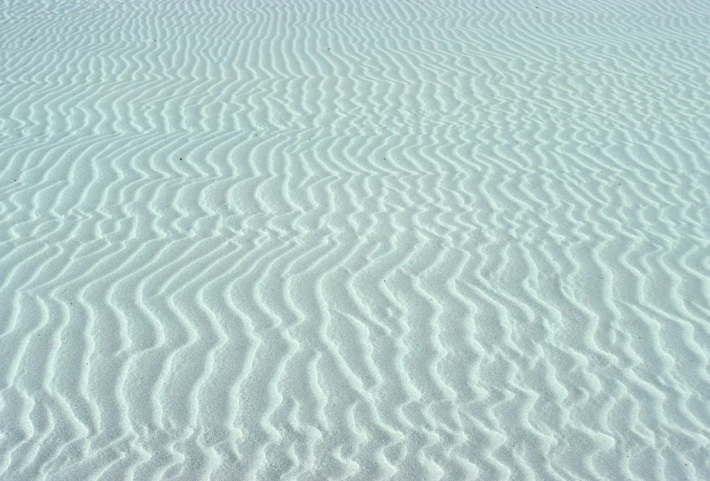 Dune sand, San Miguel Island