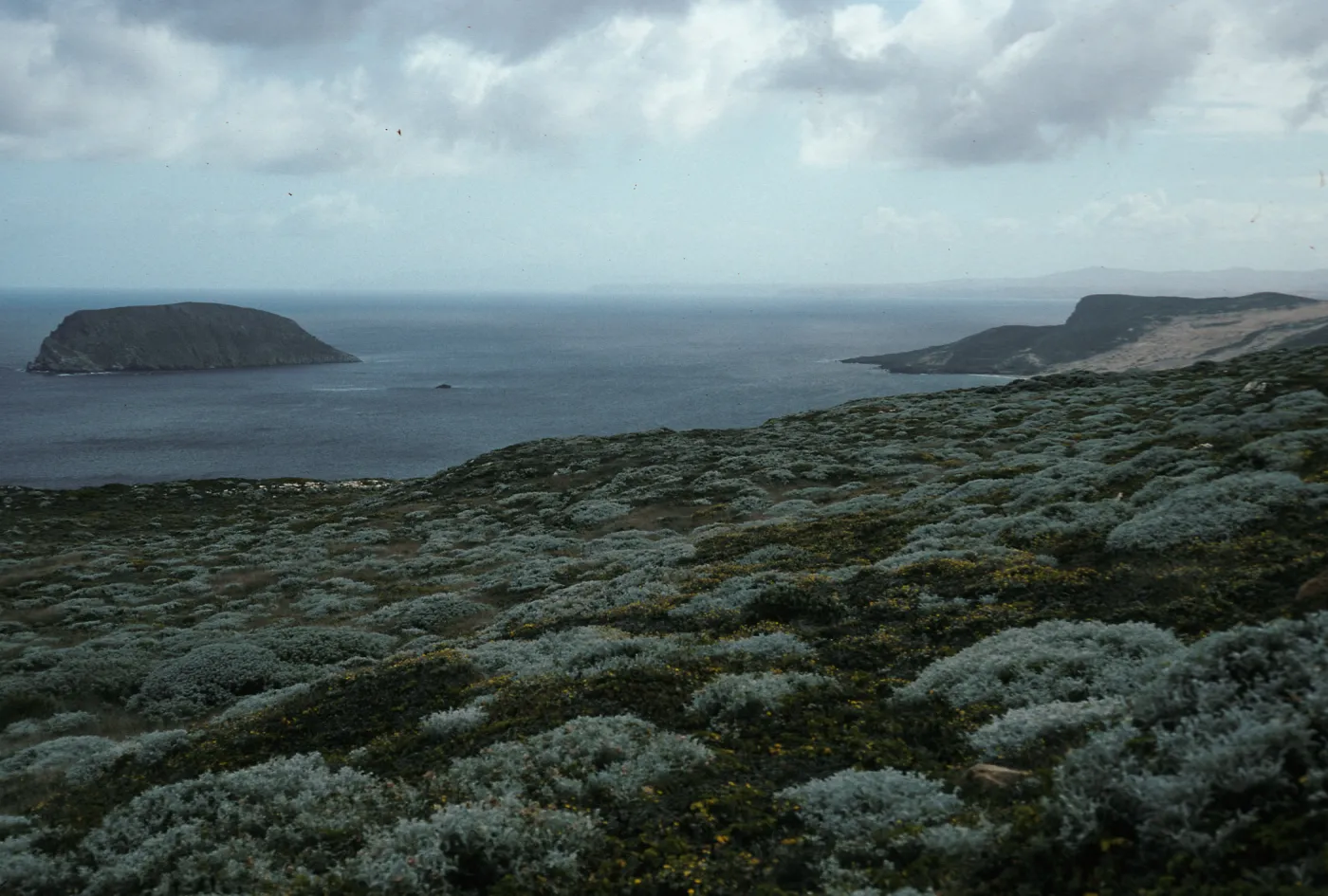 Prince Island View from Harris Point Peninsula, San Miguel Island