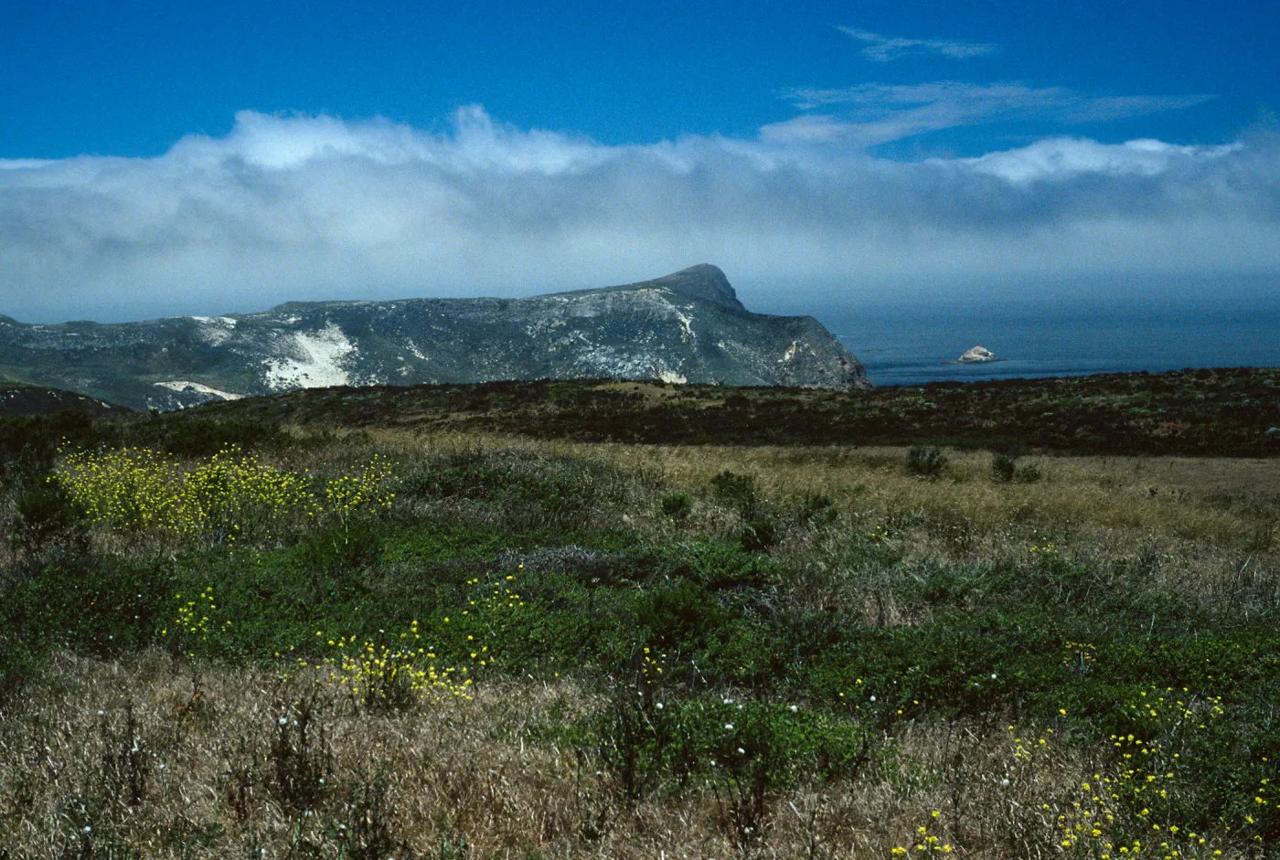 Lester Ranch Site, San Miguel Island