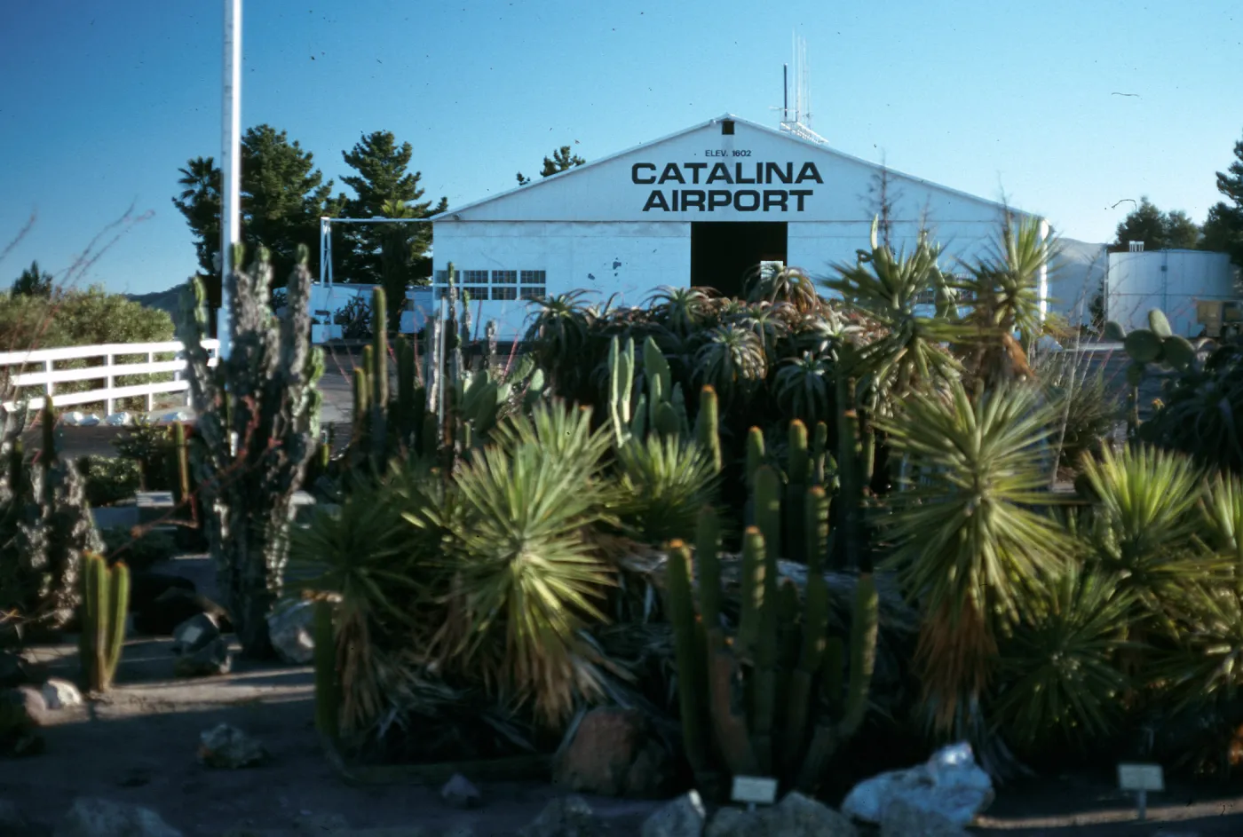 Airport, Santa Catalina Island