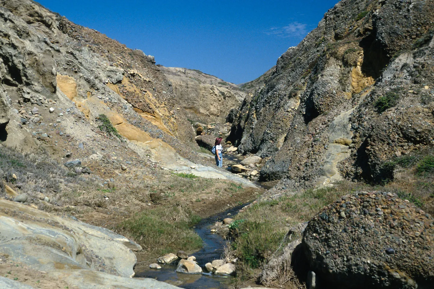 Santa Cruz Island, lower Sauces Canyon