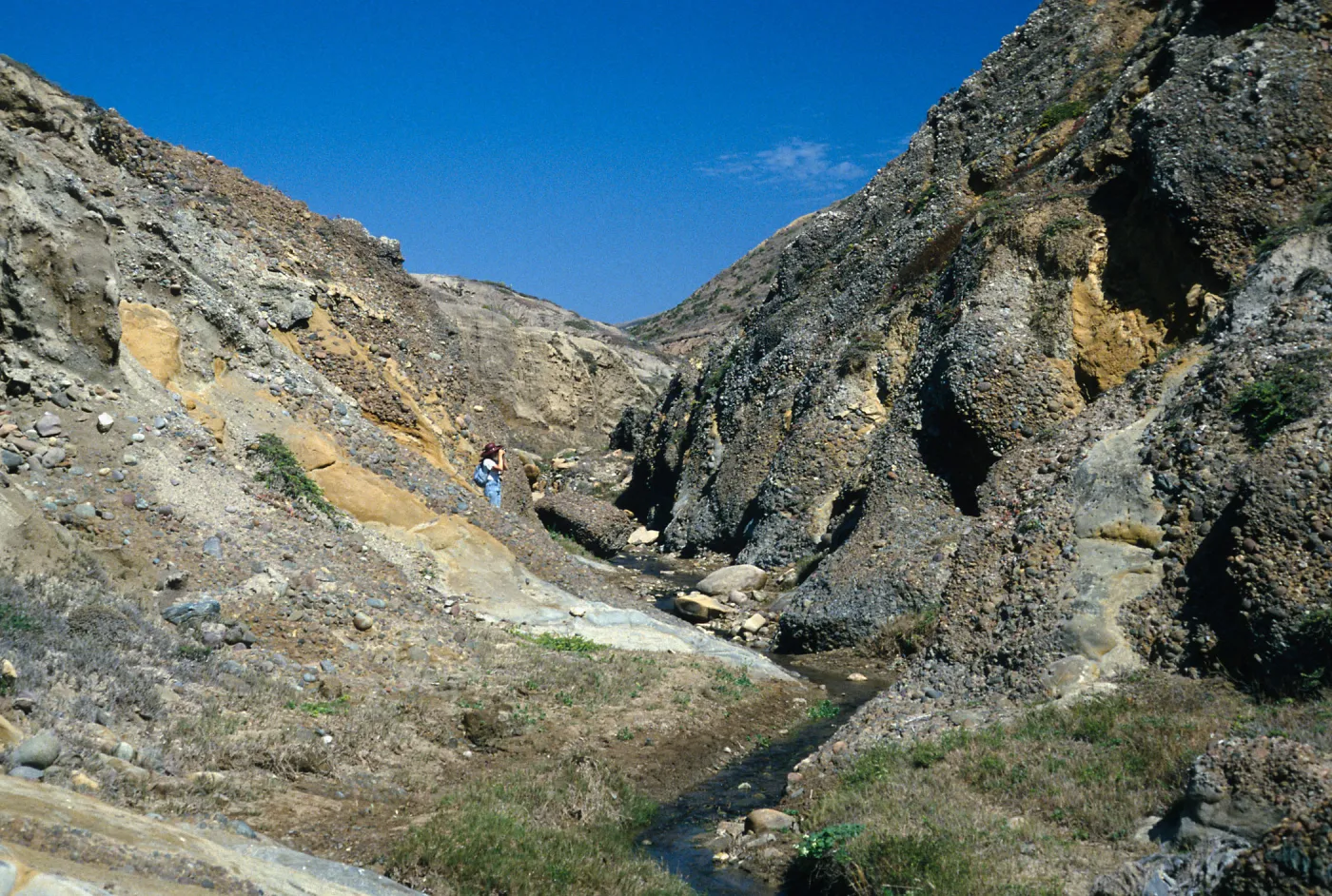 Santa Cruz Island, lower Sauces Canyon