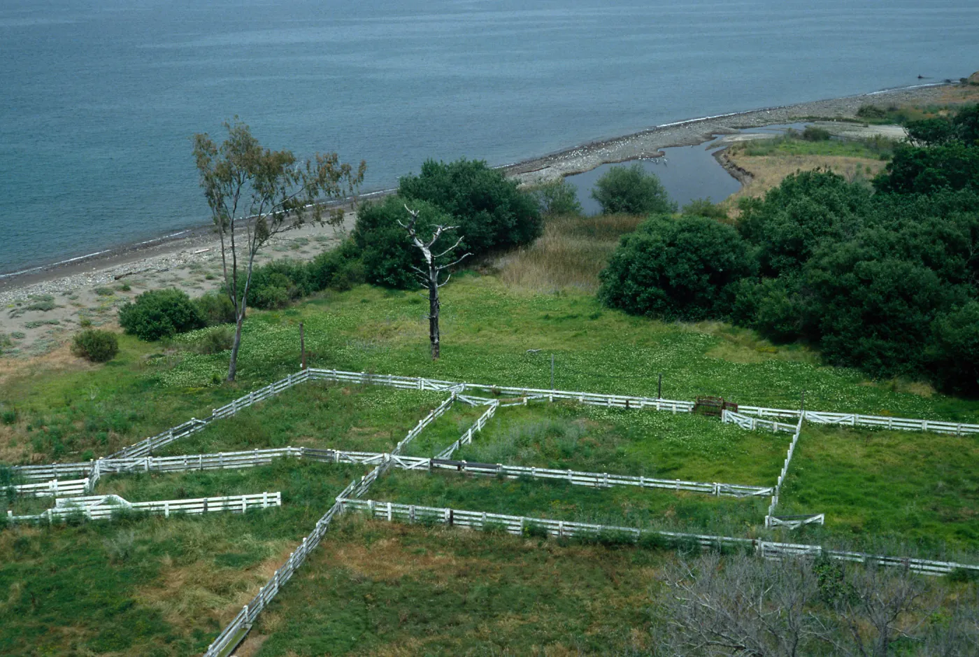 Santa Cruz Island, Prisoners Harbor