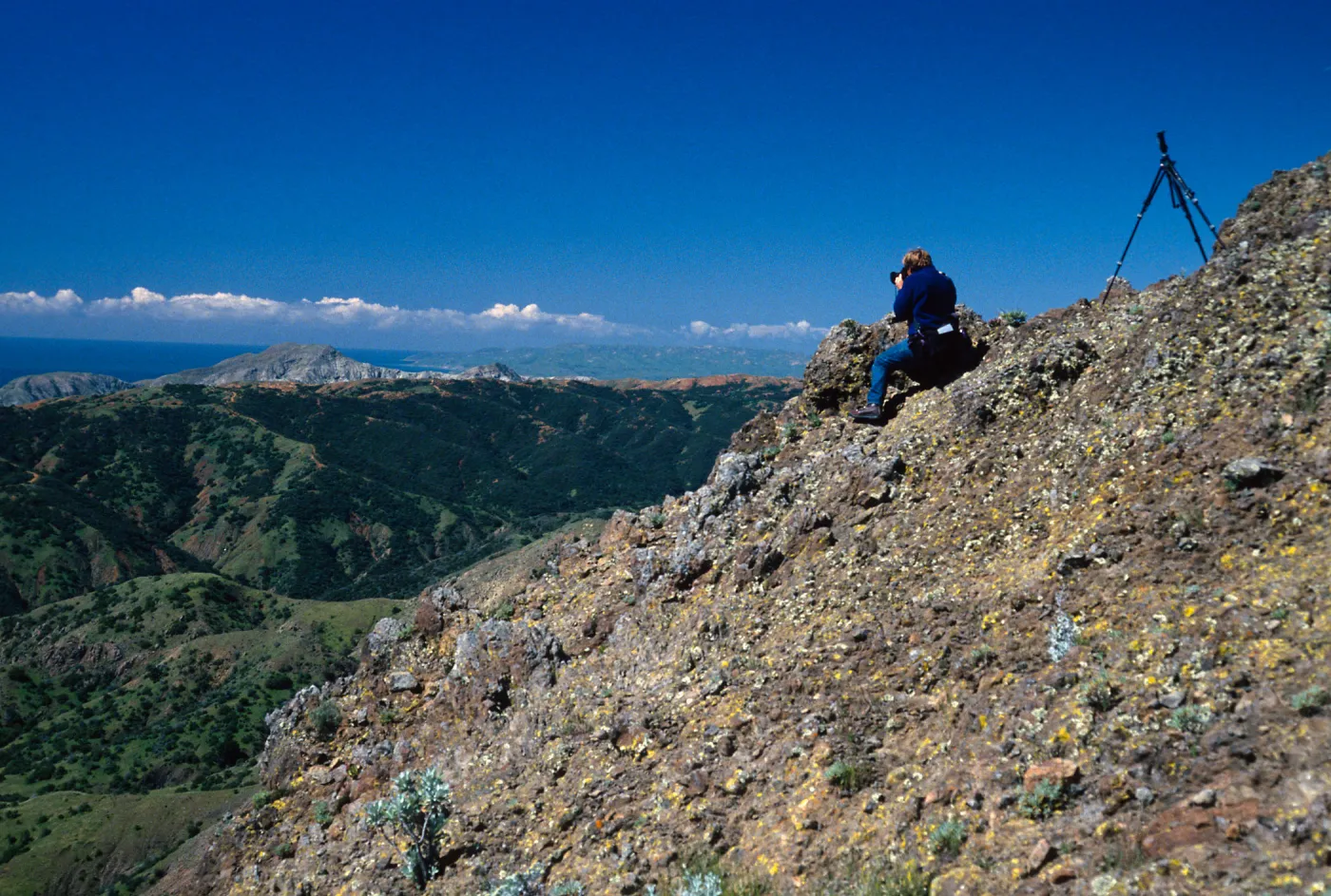 Santa Cruz Island, Tim Hauf, just West of Peak 1848 East