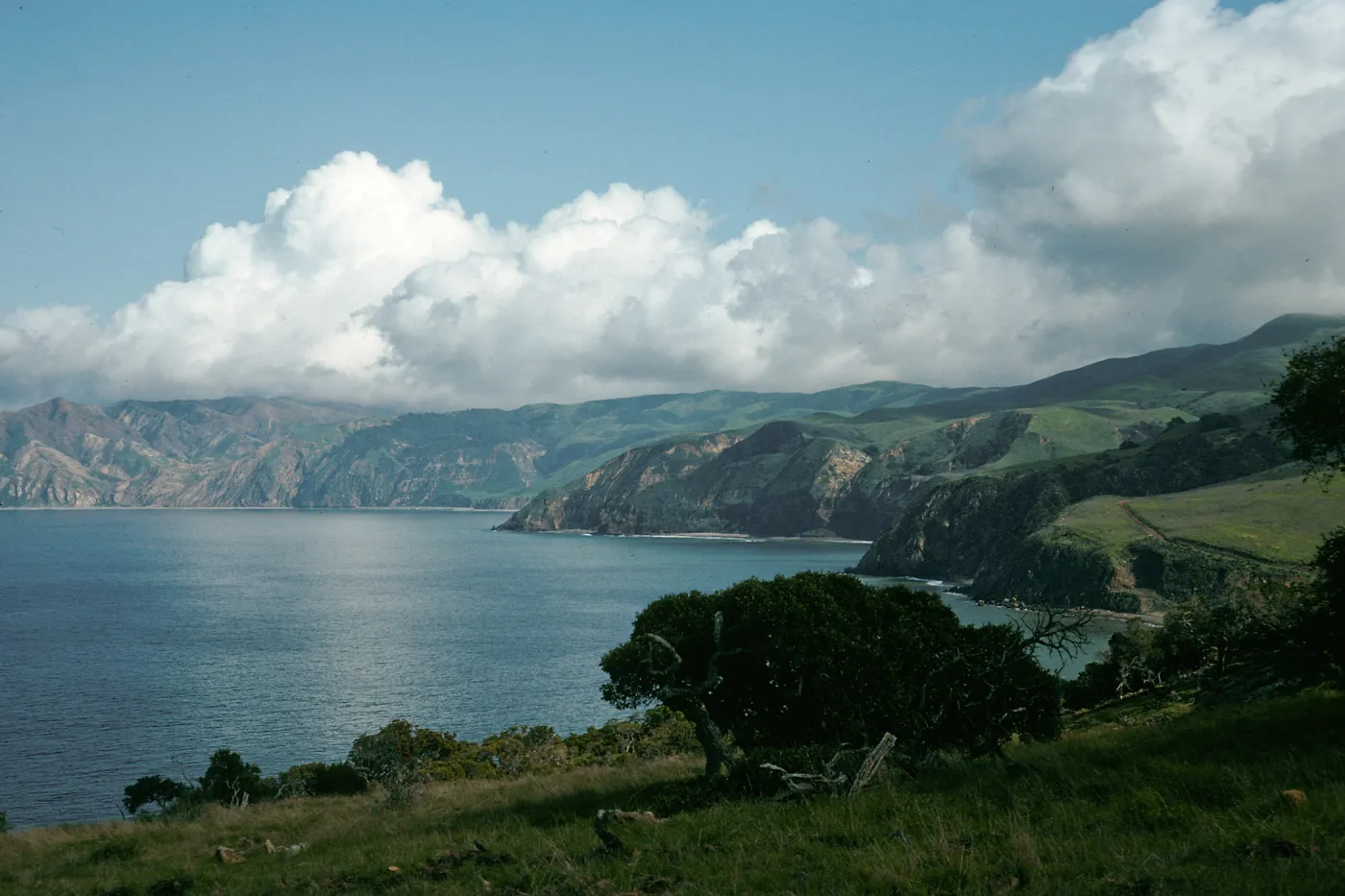 Santa Cruz Island, looking East, Pelican-Prisoners Trail
