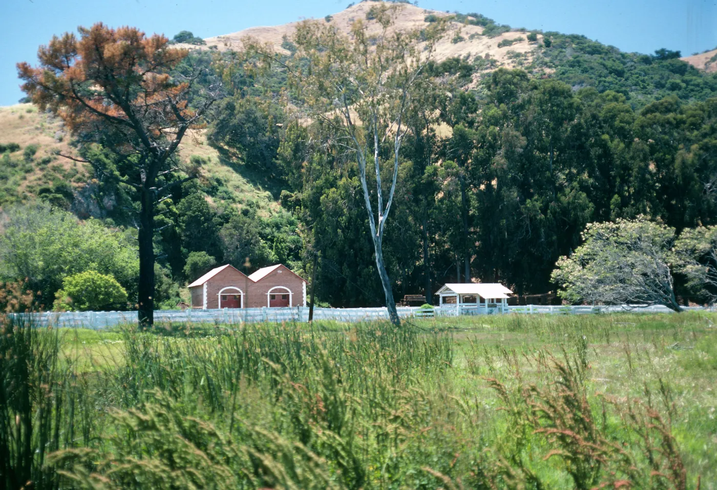 Santa Cruz Island, Prisoners Harbor