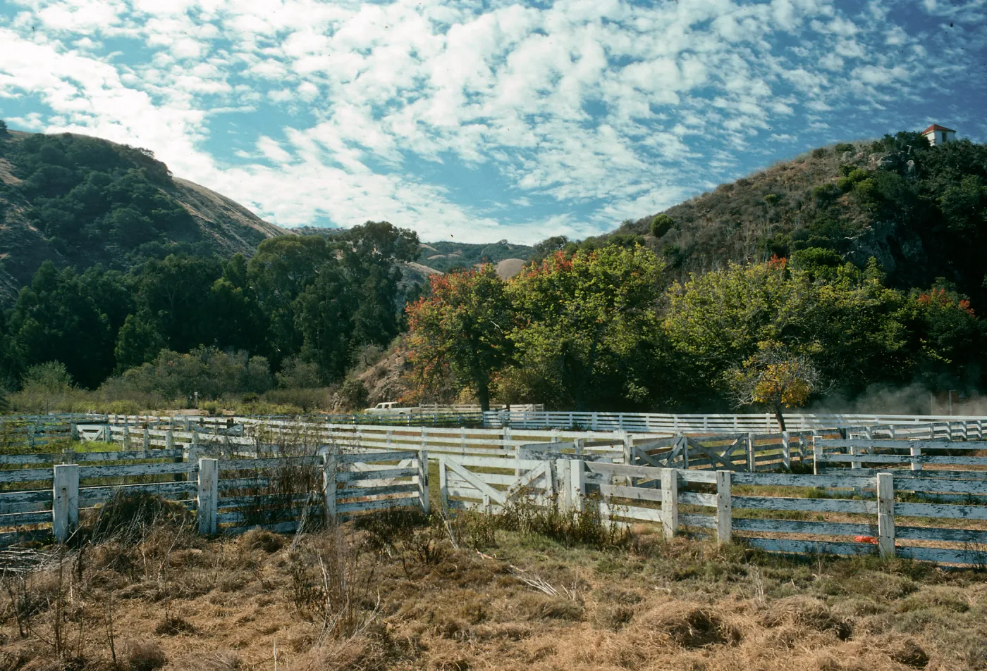 Santa Cruz Island, Prisoners Harbor, cattle pens