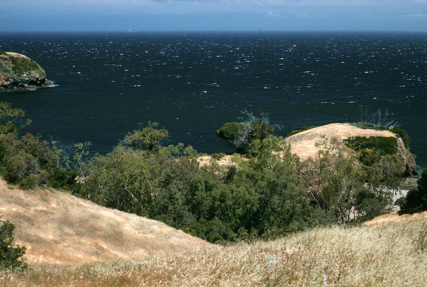 Santa Cruz Island, Pelican Bay