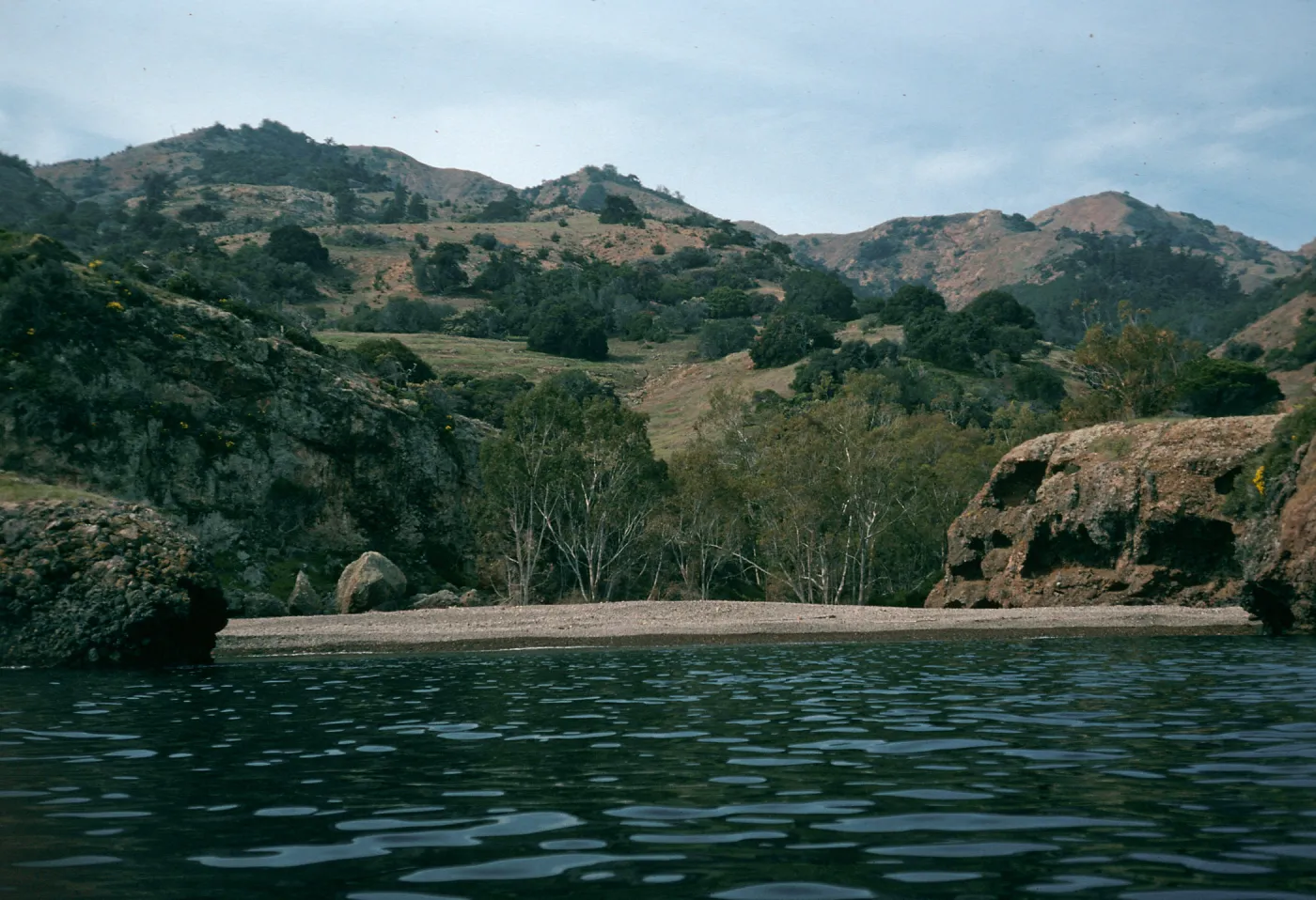 Santa Cruz Island, Tinkers Cove, at Pelican Bay