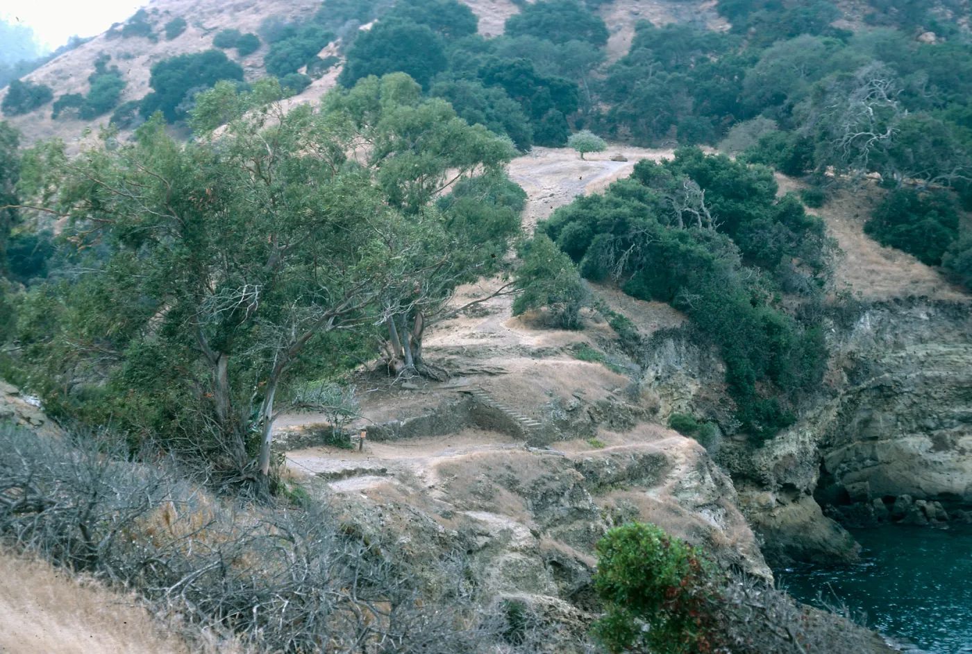 Santa Cruz Island, ruins, Pelican Bay