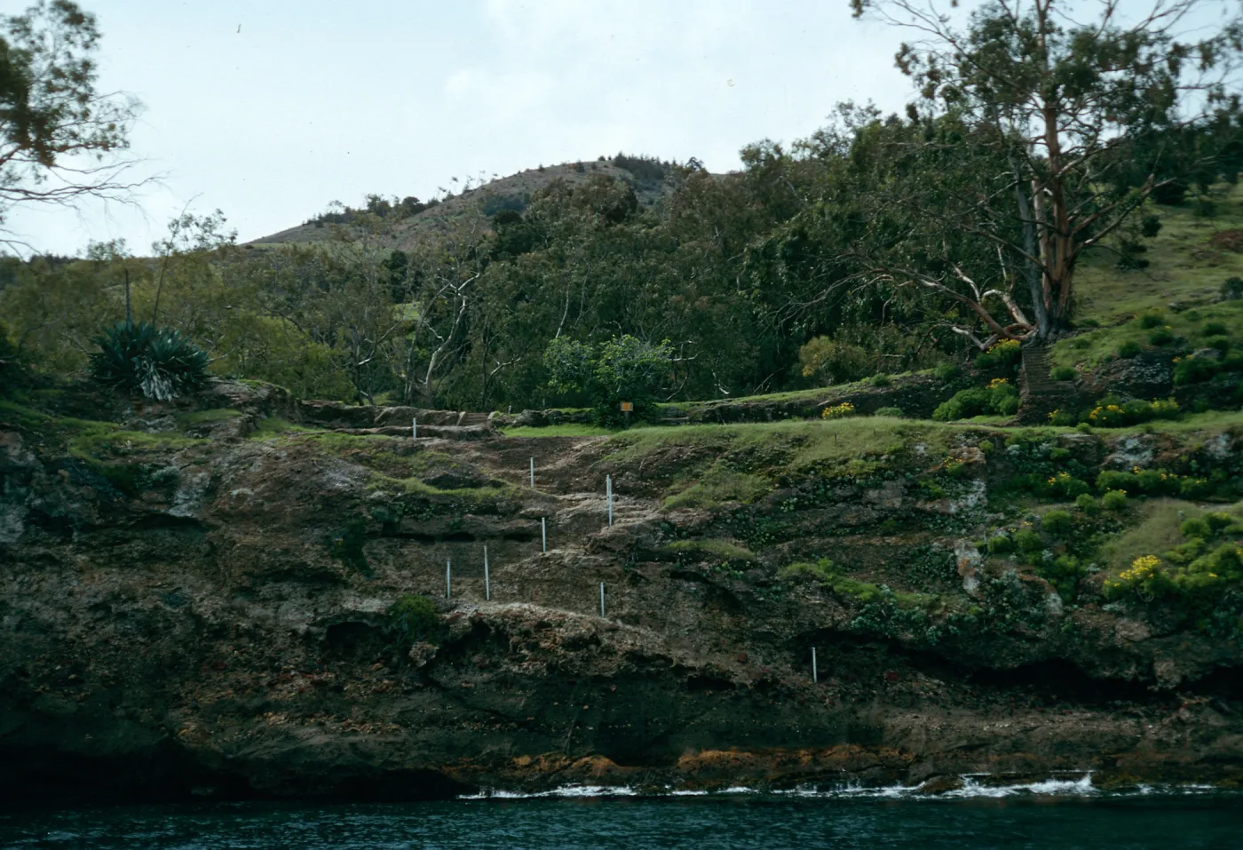 Santa Cruz Island, landing, Pelican Bay