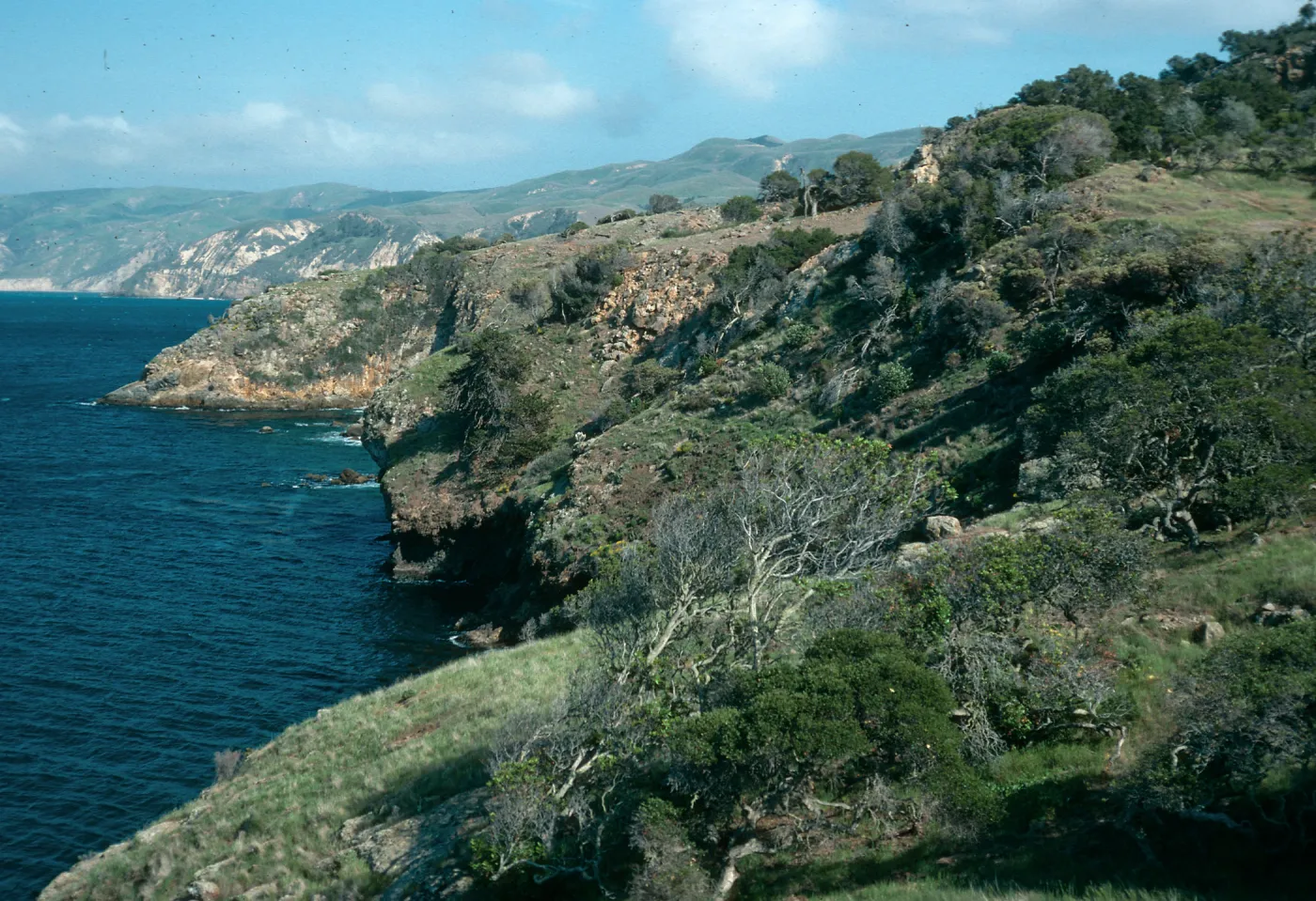 Santa Cruz Island, East of Pelican Bay