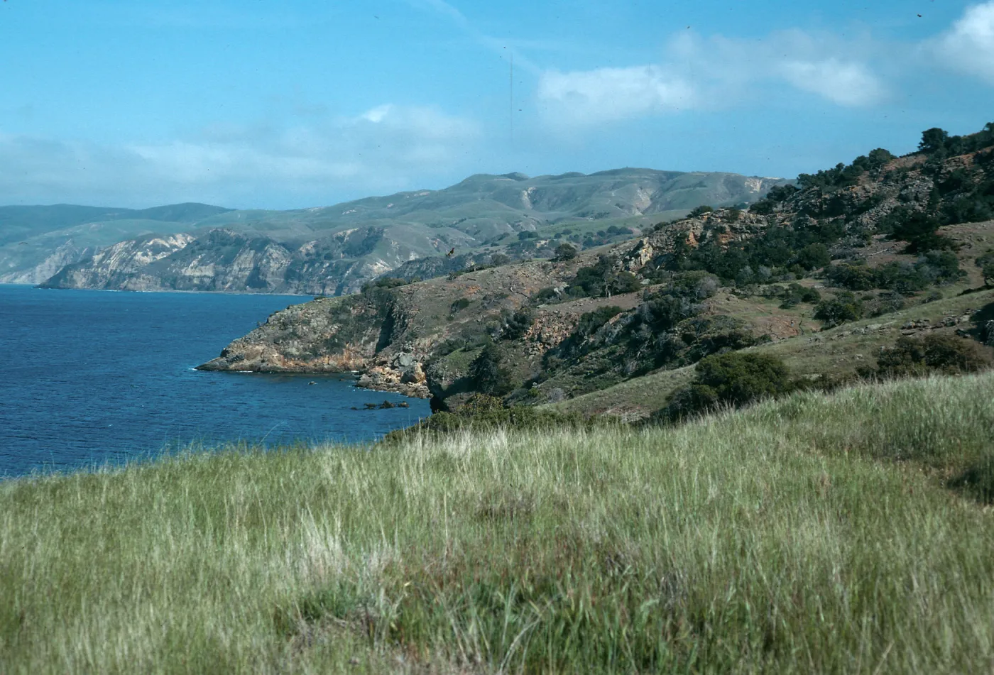 Santa Cruz Island, East of Pelican Bay