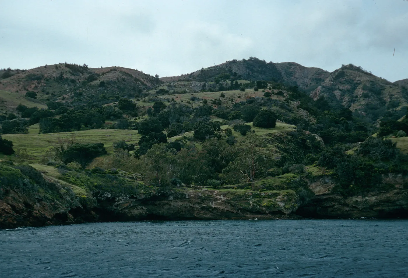 Santa Cruz Island, Pelican Bay