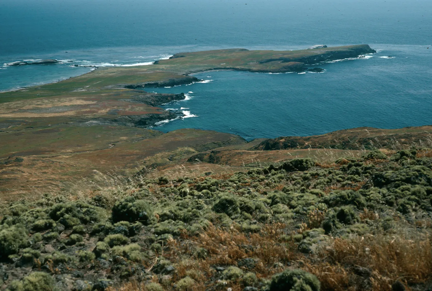 Santa Cruz Island, Fraser Point, from West Point ridge