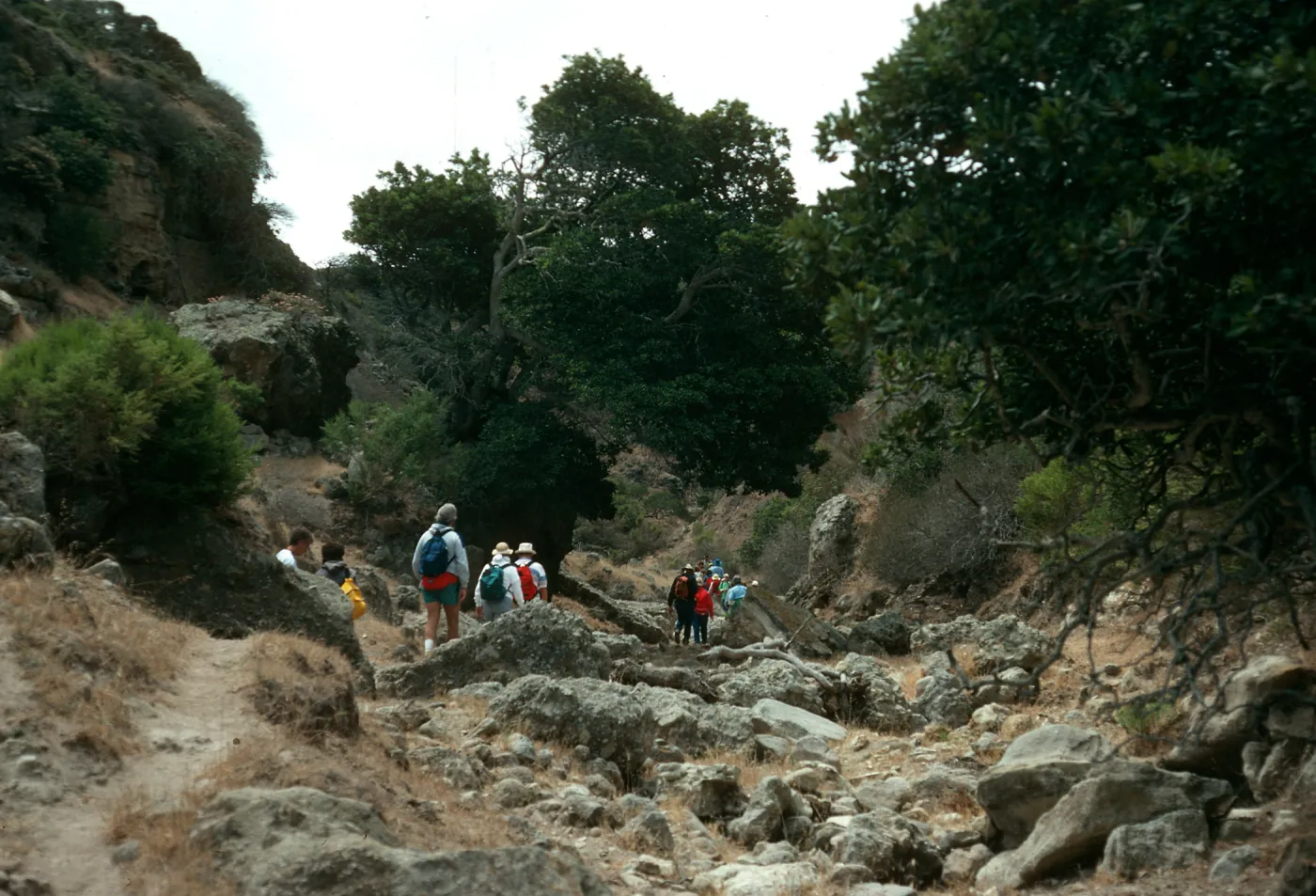 Santa Rosa Island, Cherry Canyon