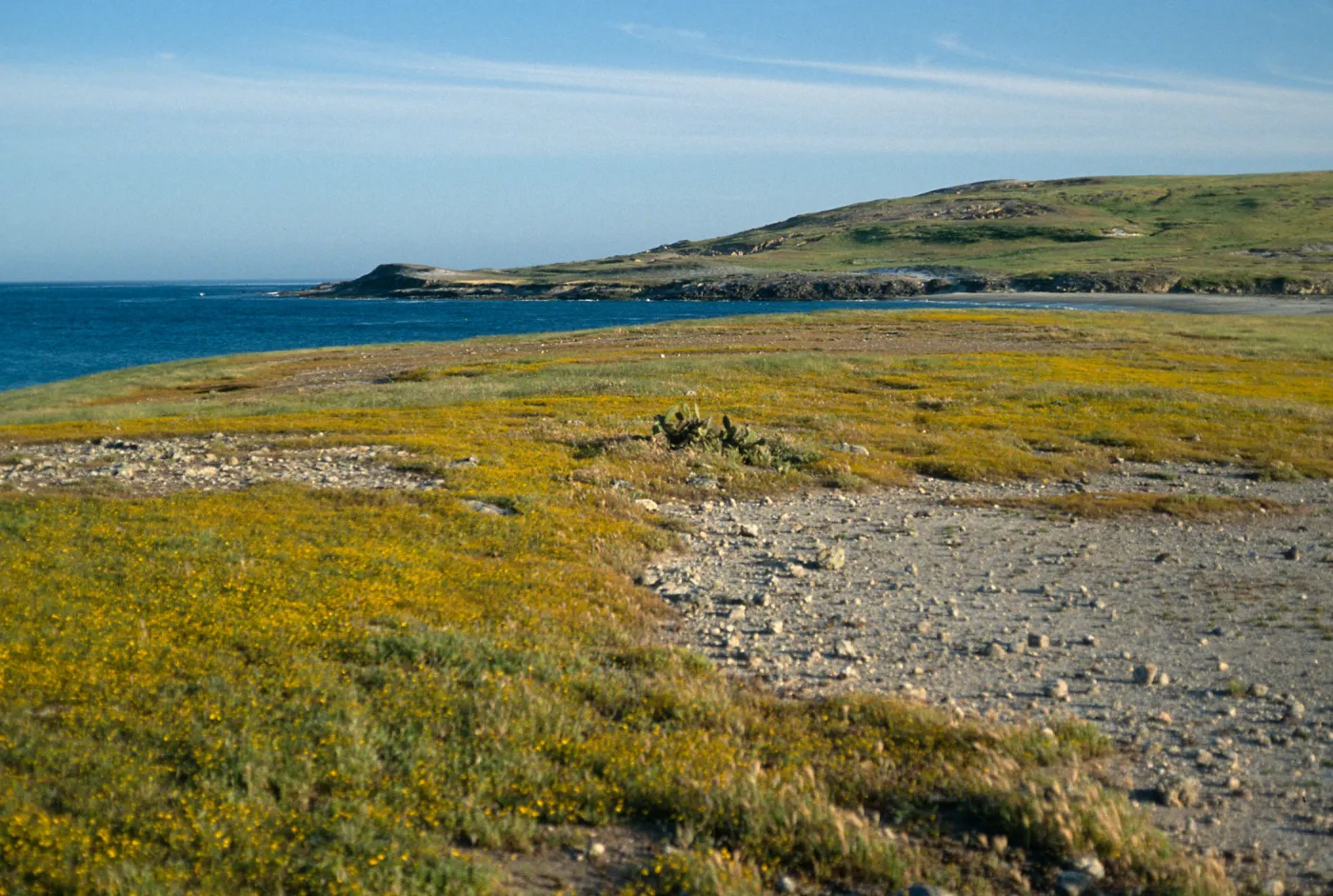 Santa Rosa Island, East Point area